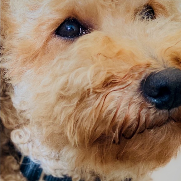 Meet your Posher, Yana - Picture 1 of 1